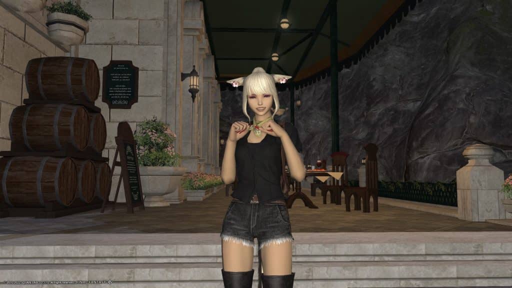 Example image of a Miqo'te boasting the very popular 